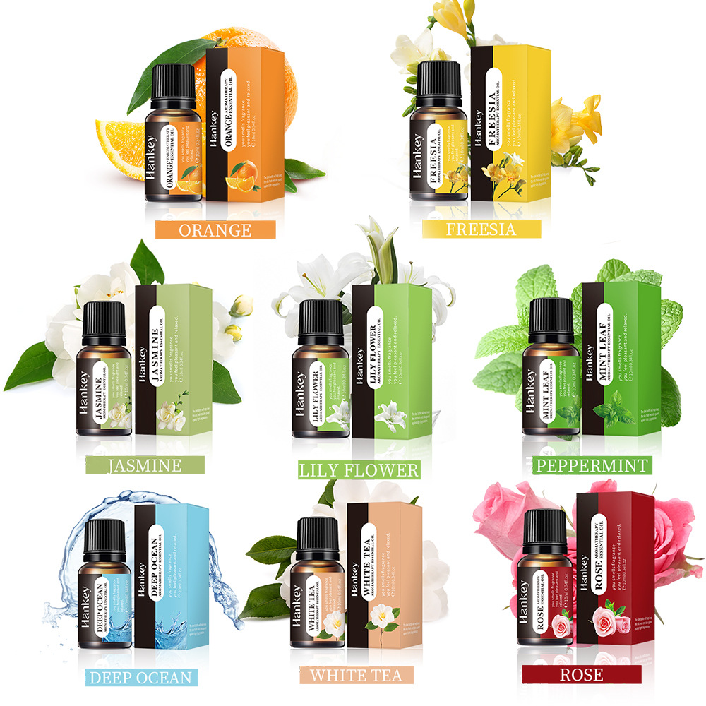 10ml pelembap minyak esensial  - Candle Making Oil Scents ulasan dan harga